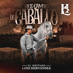 Hice Cambio De Caballo