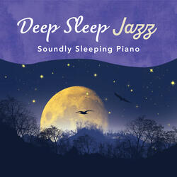 Echoes of Velvet Slumber