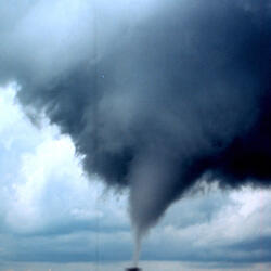 Coming Back For More