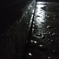Calm Rain