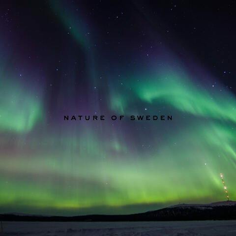 Northern Lights