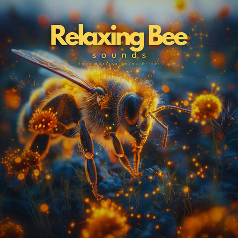 Relaxing Bee Sounds - Bees Buzzing Sound Effect