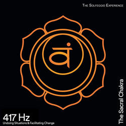 417 Hz Wipes Out Negativity