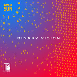 Binary Vision
