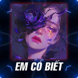 Em Có Biết (Jin Tuấn Nam Version)
