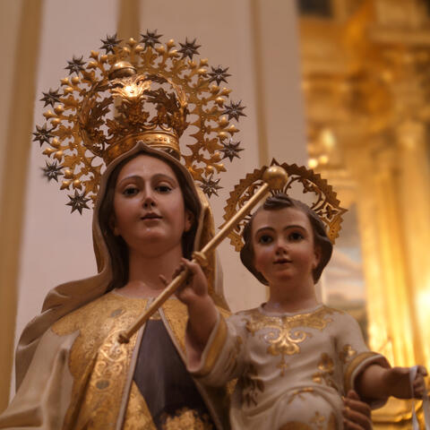 Flos Carmeli