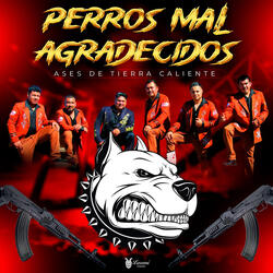 Perros Mal Agradecidos