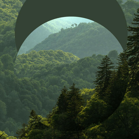 Earth (Chapter. 4)