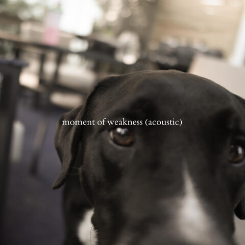 moment of weakness