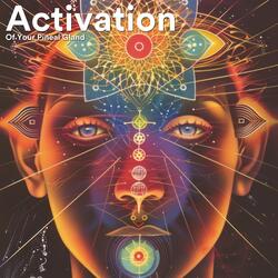 Activation Of Your Pineal Gland