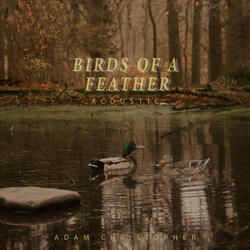 Birds of a Feather