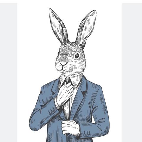 Hit my bunnies