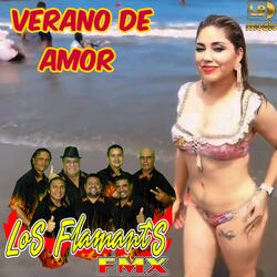 Verano de Amor