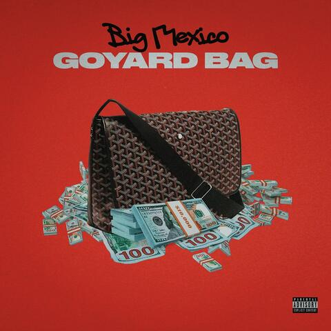 Goyard Bag