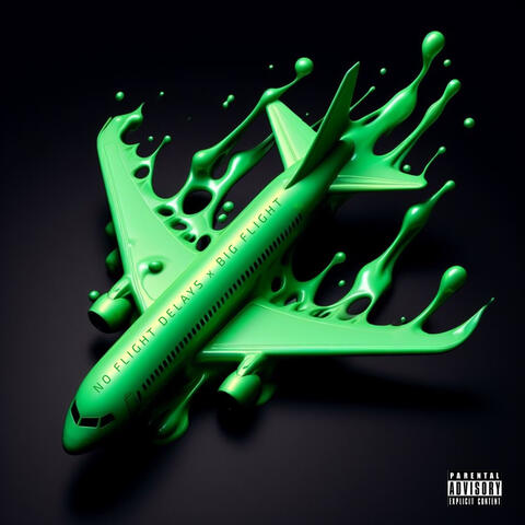 No Flight Delays