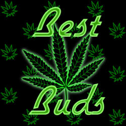 Best Buds