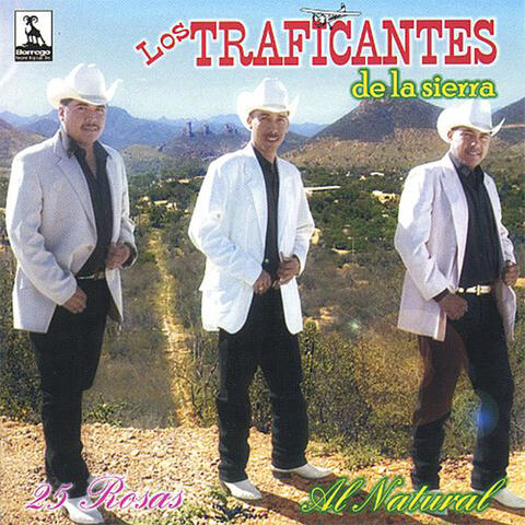 25 Rosas