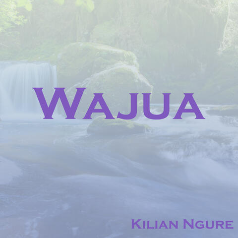 Wajua