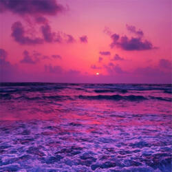 Ecstasy