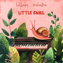 Little Snail