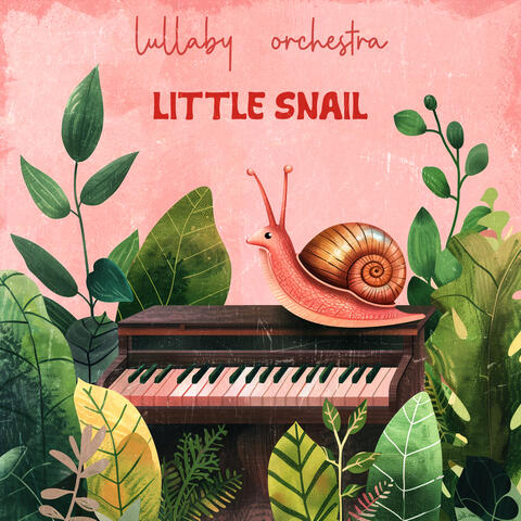 Little Snail
