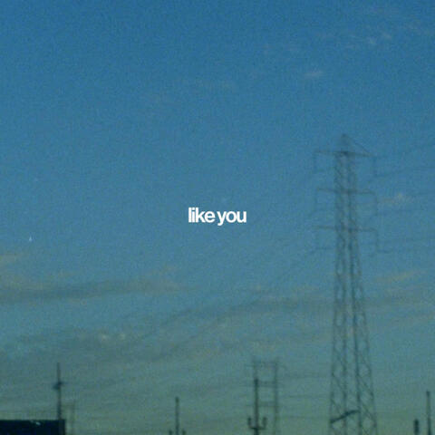Like You