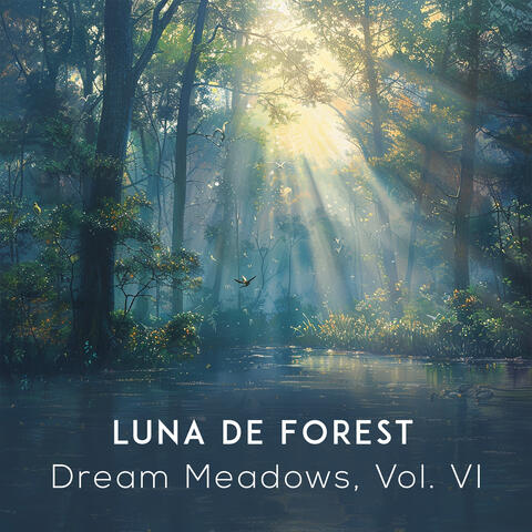 Dream Meadows, Vol. VI