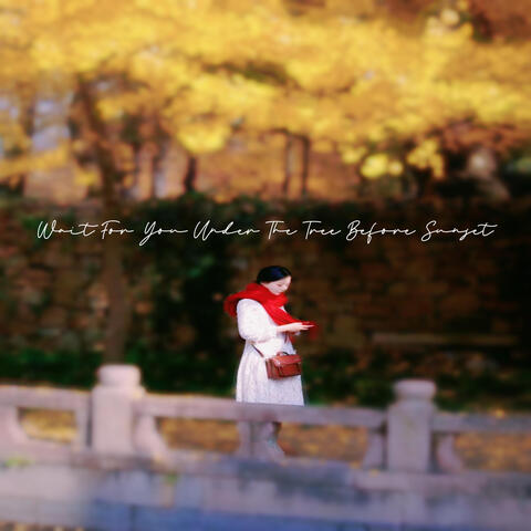 Wait For You Under The Tree Before Sunset