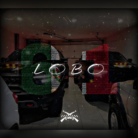 LOBO 61 (Pay) V1