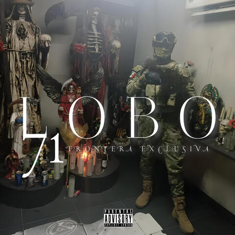 Lobo 71