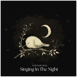 Singing In The Night