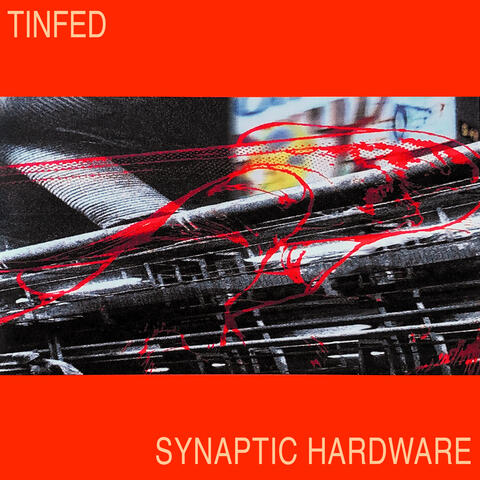 SYNAPTIC HARDWARE