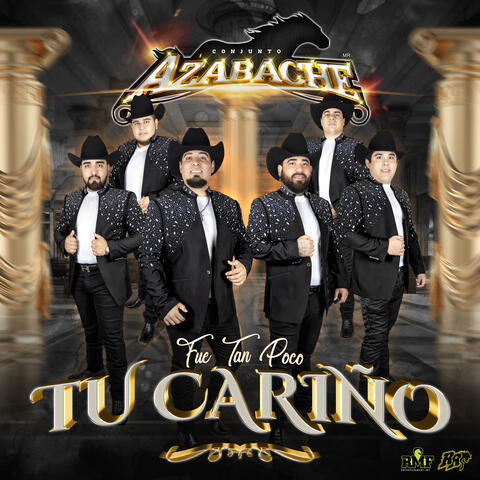 Fue Tan Poco Tu Cariño