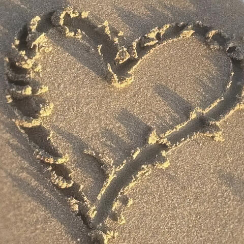 Un Verano Sin Amor