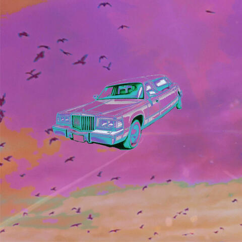Space Limo