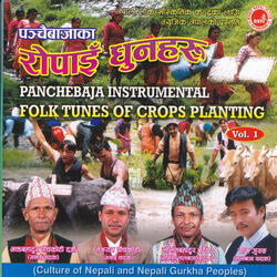 Gham Dhalkepachhi Ko Ropai Bethi Dhun (Instrumental)