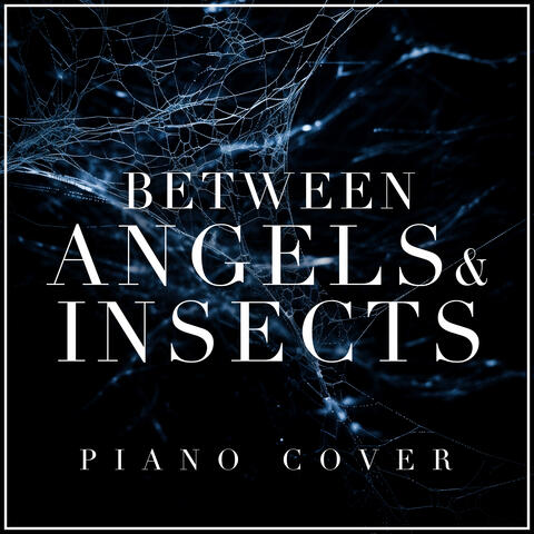 Between Angels & Insects