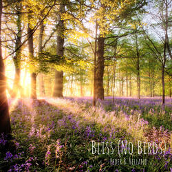 Bliss