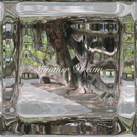 Summer Dream