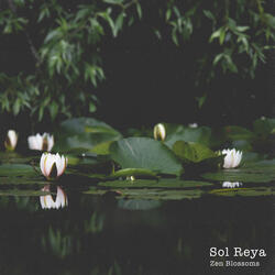Zen Blossoms