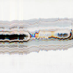Willow Visions