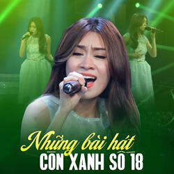 Rừng Chiều