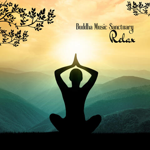 Relax Lotus Pond Meditation