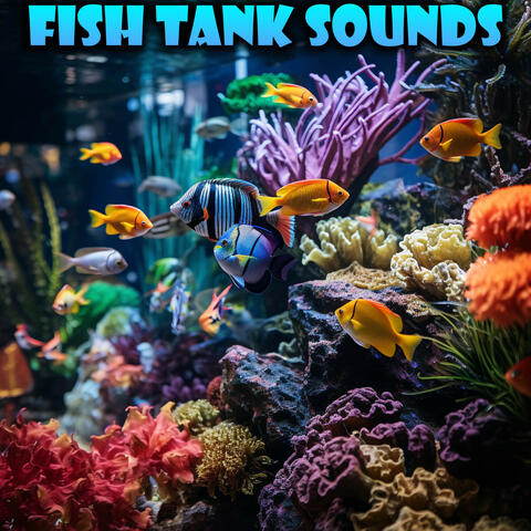 Relaxing Aquarium Fish Tank Sounds