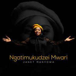 Ngatimukudzei