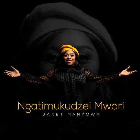 Ngatimukudzei