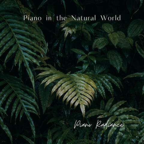 Piano in the Natural World