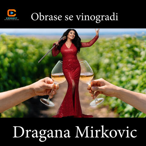 Obrase se vinogradi