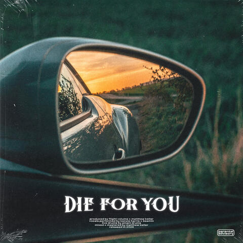 Die For You