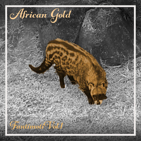 African Gold - Fantimoti Vol. 1